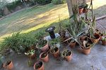 Sale Photo Thumbnail #24