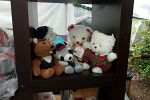 Sale Photo Thumbnail #50