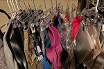 Sale Photo Thumbnail #29