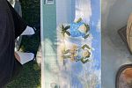 Sale Photo Thumbnail #20