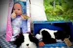 Sale Photo Thumbnail #48