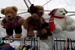 Sale Photo Thumbnail #40