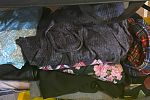 Sale Photo Thumbnail #22
