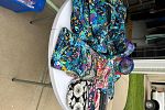 Sale Photo Thumbnail #30
