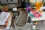 Sale Photo Thumbnail #12