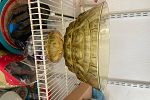 Sale Photo Thumbnail #32