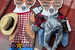 Sale Photo Thumbnail #64