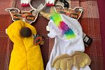 Sale Photo Thumbnail #71