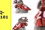 Sale Photo Thumbnail #13