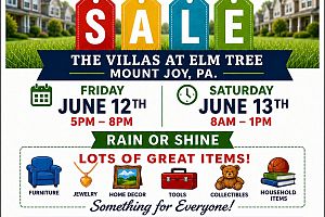 15th Annual Villas at Elm Tree Neighborhood Yard Sale!