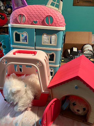 Yard Sale photo